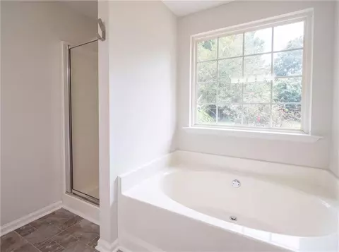 305 Cobb Ct, Hampton, GA 30228 photo 17
