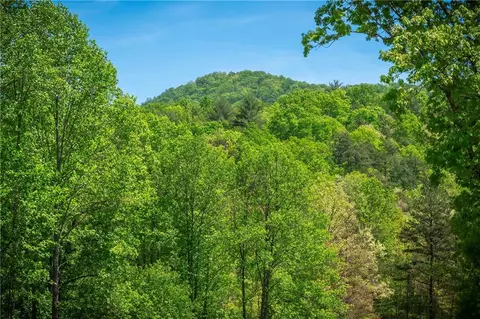 4 Jonica Gap Road, Mineral Bluff, GA 30559