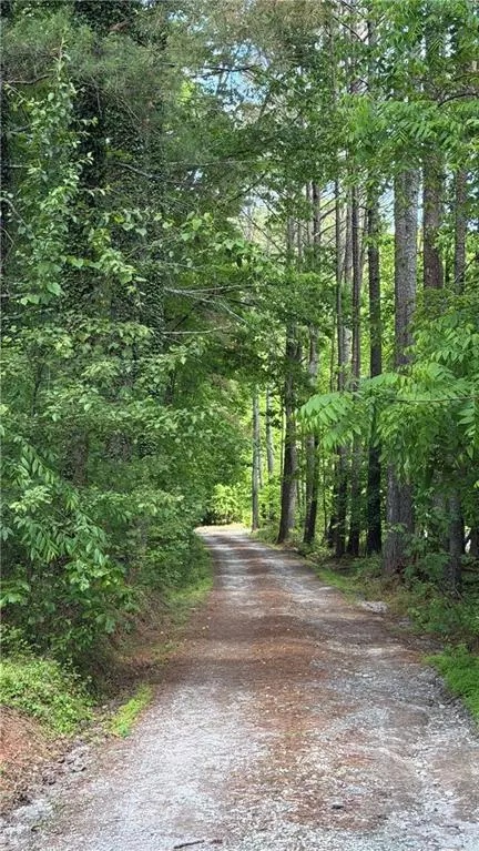 340 Wash Wilson Loop, Blue Ridge, GA 30513