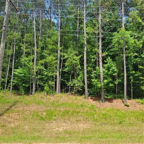 00 Bohannon Rd, Grantville, GA 30220
