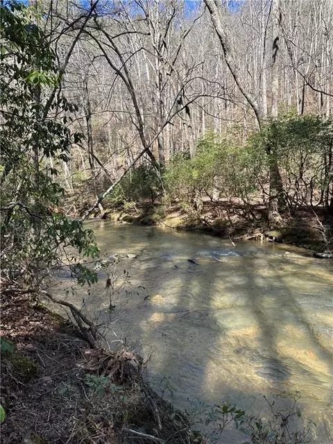 0 Coffee Mill Run, Talking Rock, GA 30175 photo 7