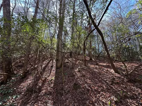 0 Coffee Mill Run, Talking Rock, GA 30175 photo 5