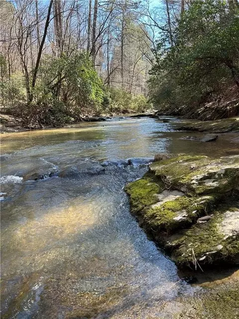 0 Coffee Mill Run, Talking Rock, GA 30175 photo 3
