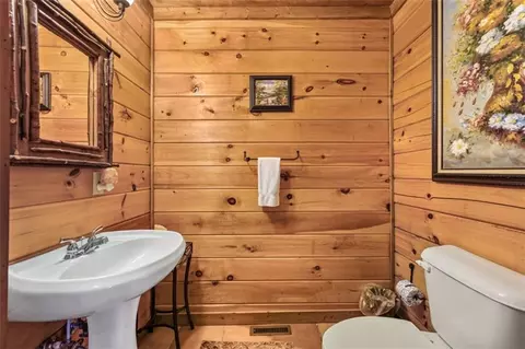 58 River Rd, Cherry Log, GA 30522 photo 13