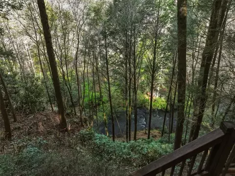 58 River Rd, Cherry Log, GA 30522 photo 9