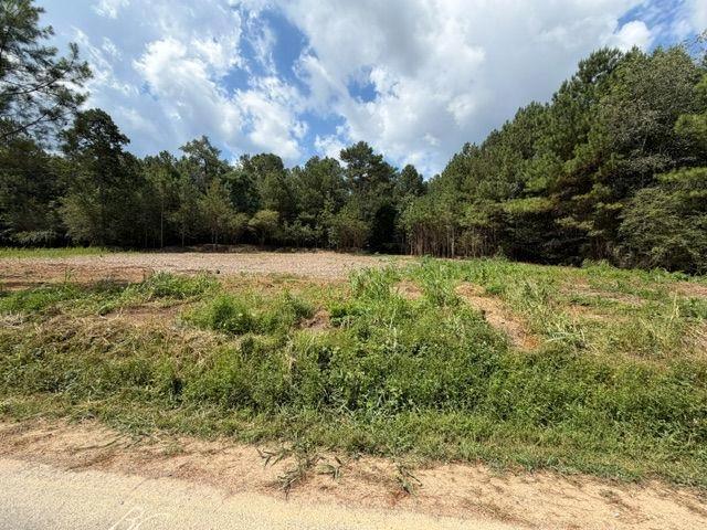 84 Popham Road Tract 2 3, Taylorsville, GA 30178