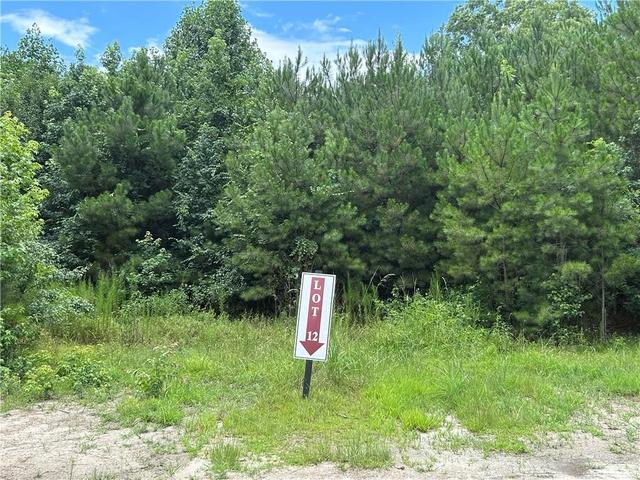 0 Hamilton Rd, Chattahoochee Hills, GA 30268