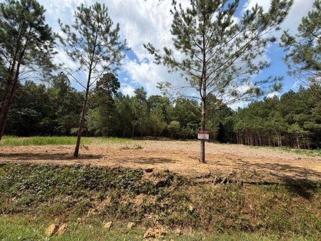 84 Popham Road Tract 1 2, Taylorsville, GA 30178