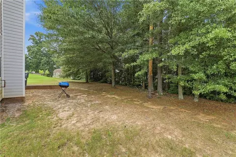 310 Megan Dr, Hampton, GA 30228 photo 45