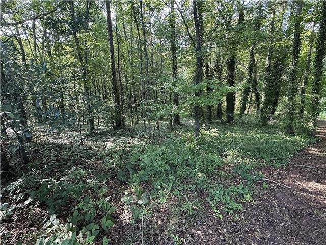 0 Boxer Ln, Cumming, GA 30028