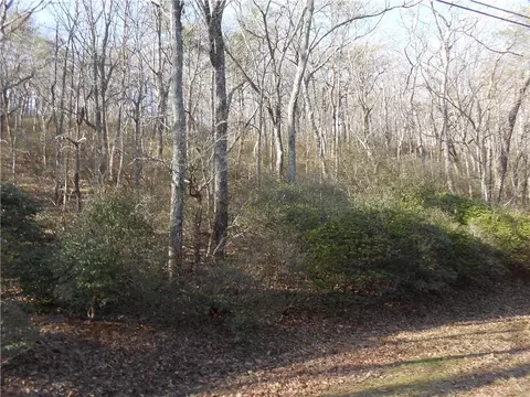 00 Mulligan Way, Jasper, GA 30143 photo 5