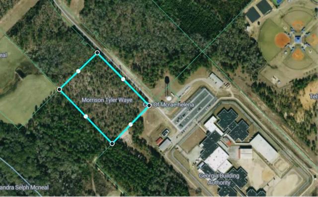 0 Jim Hammock Dr, Mc Rae, GA 31055
