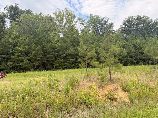 lot58 County Road 32, Piedmont, AL 36272