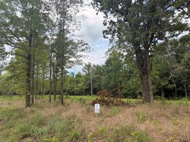 lot59 County Road 32, Piedmont, AL 36272