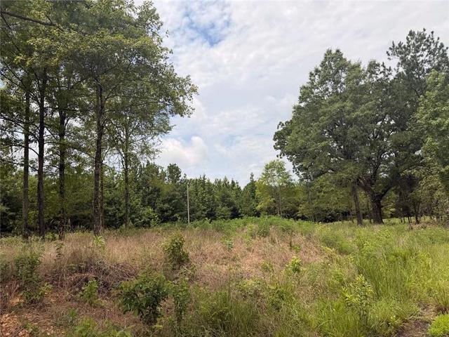 lot60 County Road 32, Piedmont, AL 36272