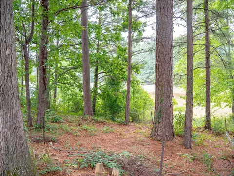 Exterior - 1860 Pinehurst View Dr, Grayson, GA 30017 photo 6 of 10