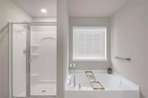 Bath - 11655 Stovall Pl, Hampton, GA 30228 photo 3 of 3