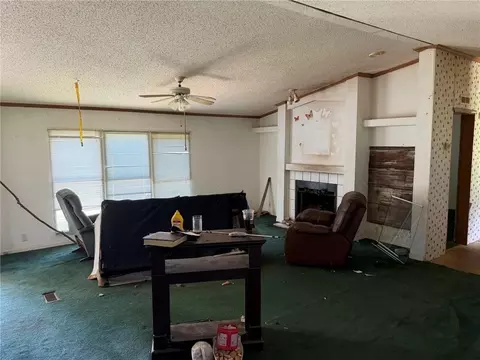 Living - 130 Triple Tree Rd, Bremen, GA 30110 photo 2 of 3