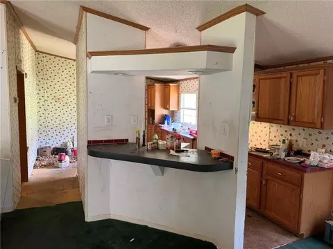 Other - 130 Triple Tree Rd, Bremen, GA 30110 photo 2 of 2