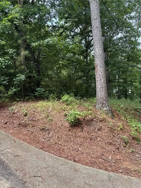 Other - 31 Weaver St, Buchanan, GA 30113 photo 1 of 6