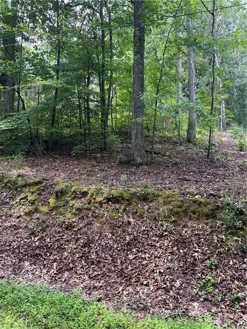 Other - 31 Weaver St, Buchanan, GA 30113 photo 5 of 6