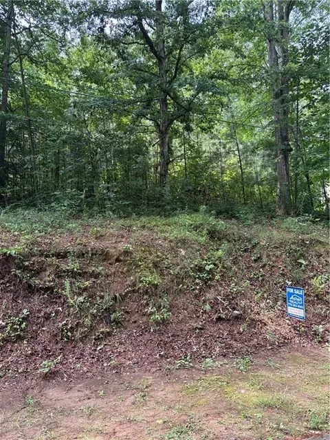 Other - 31 Weaver St, Buchanan, GA 30113 photo 6 of 6