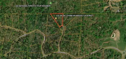 85 Via Massa, Dahlonega, GA 30533