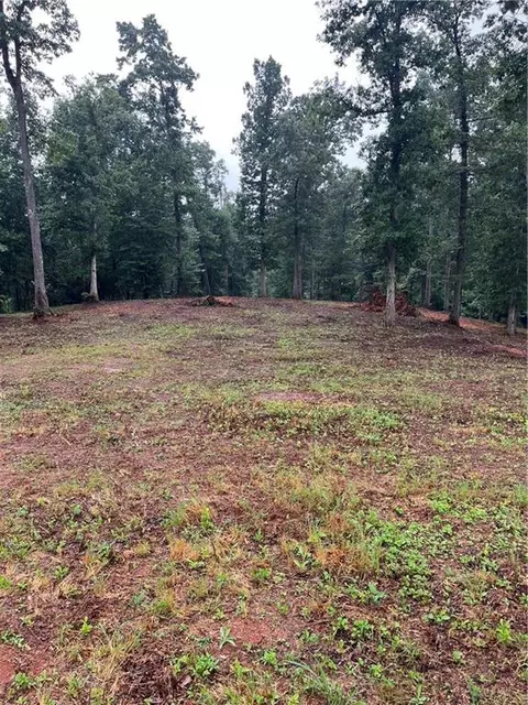 100 Red Plum Dr, Ellijay, GA 30540