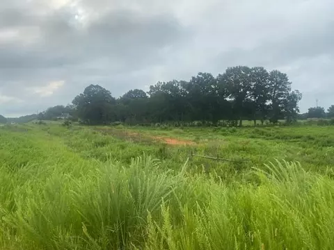 0 Hwy 83 Connector, Monroe, GA 30655 photo 5