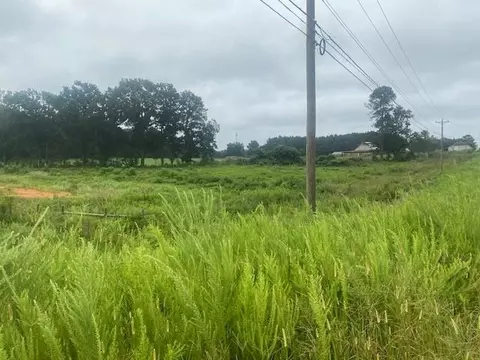 0 Hwy 83 Connector, Monroe, GA 30655 photo 3