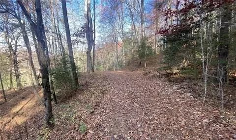 1 Barefoot Hls, Hiawassee, GA 30546