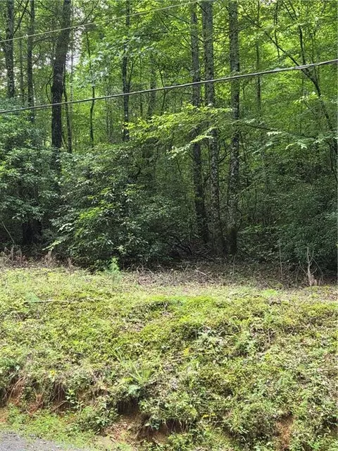 00 Chopped Oak Rd, Ellijay, GA 30540