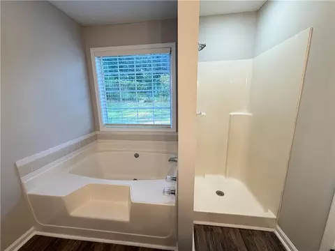 Bath - 1447 Millstone Ct, Bethlehem, GA 30620 photo 4 of 6
