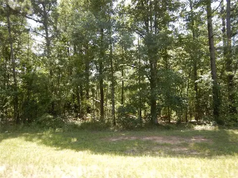 2771 Carey Station Rd St, Greensboro, GA 30043