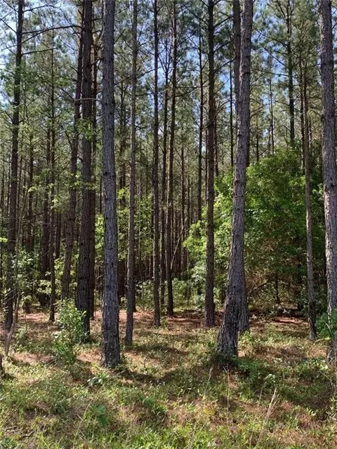 Undisclosed, Bartow, GA 30413 photo 3