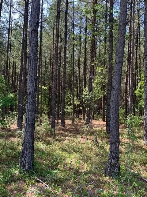 Undisclosed, Bartow, GA 30413 photo 2