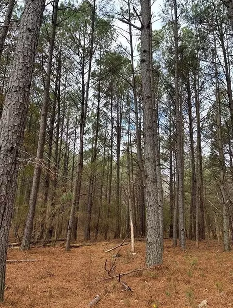 556 Benton Rd, Covington, GA 30014 photo 2