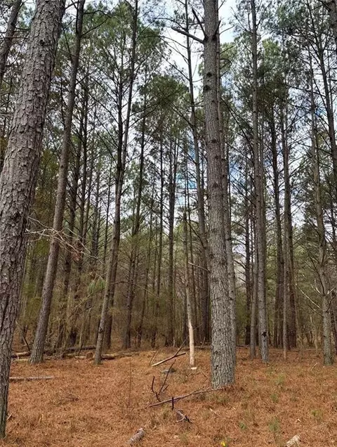 556 Benton Rd, Covington, GA 30014