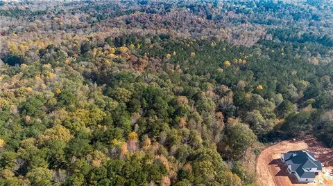 00 Tanners Bridge Cir, Bethlehem, GA 30620 photo 8