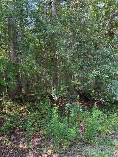 89 Trellis Ct, Carrollton, GA 30116