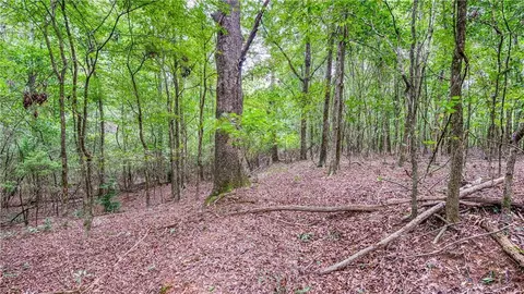 140 Levi Trl, Nicholson, GA 30565 photo 6