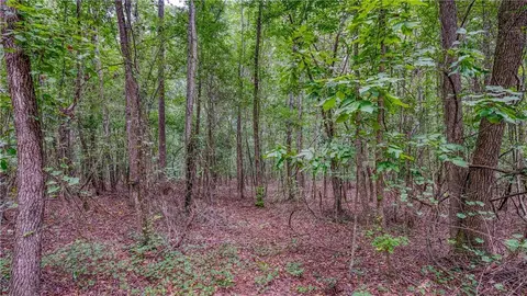 140 Levi Trl, Nicholson, GA 30565 photo 8