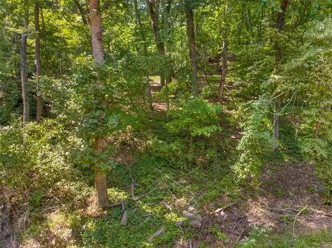 0 Waters Edge Dr, Clarkesville, GA 30523 photo 4