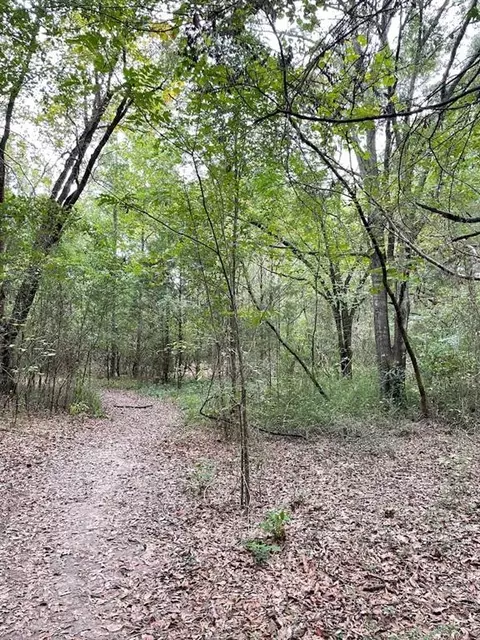 0 Spence Rd, Fairburn, GA 30213 photo 12