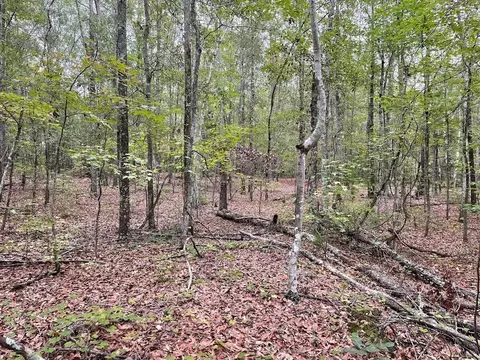 0 Spence Rd, Fairburn, GA 30213 photo 10