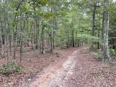 0 Spence Rd, Fairburn, GA 30213 photo 5