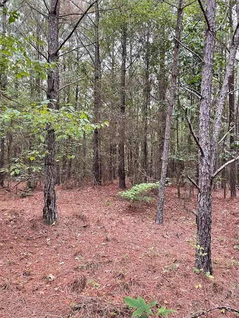 0 Spence Rd, Fairburn, GA 30213 photo 4
