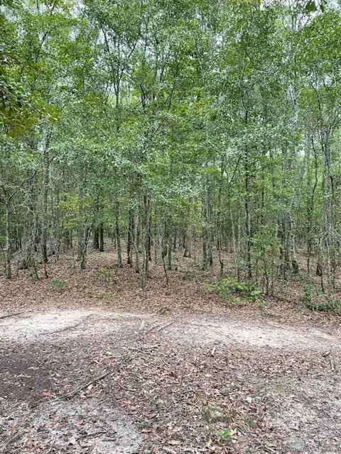 0 Spence Rd, Fairburn, GA 30213 photo 8
