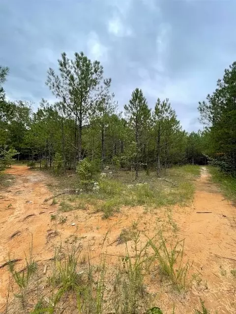 0 Spence Rd, Fairburn, GA 30213 photo 7