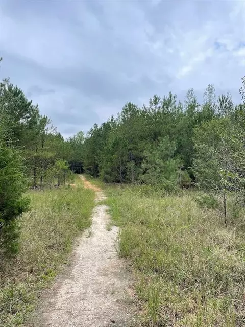 0 Spence Rd, Fairburn, GA 30213 photo 6